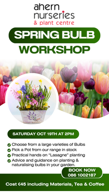 Spring Bulb Workshop